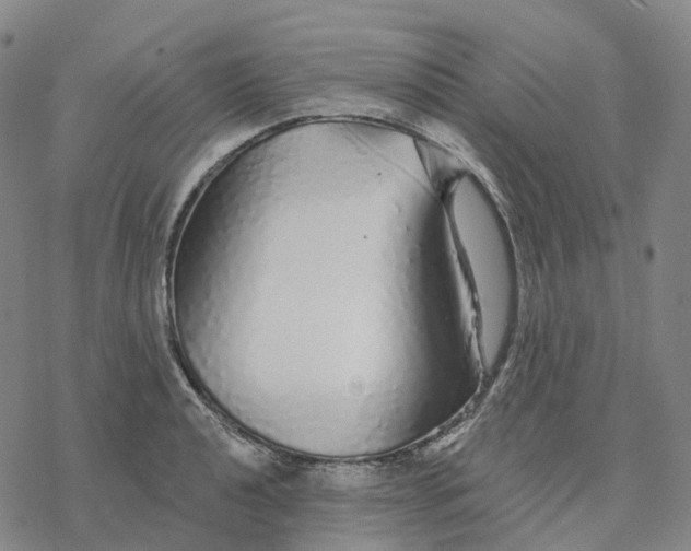 X0000076421040200610271703