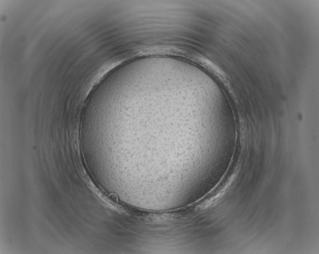 X0000076421041200610271703