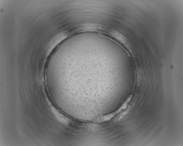 X0000076421042200610271703