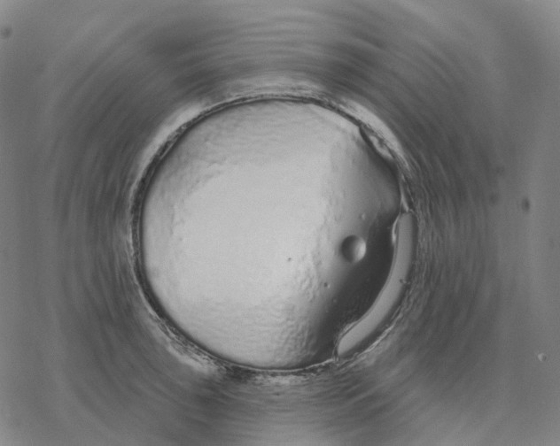 X0000076421043200610271703