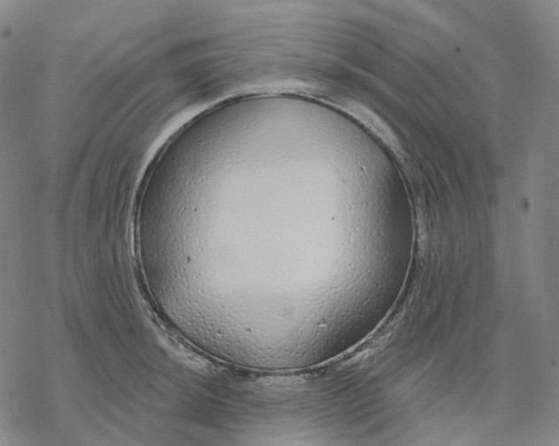 X0000076421044200610271703