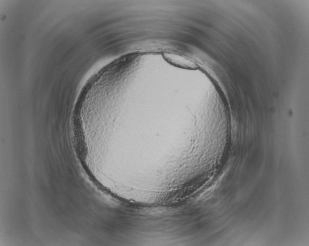 X0000076421045200610271703