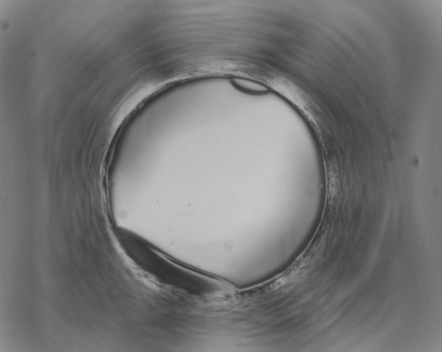 X0000076421047200610271703