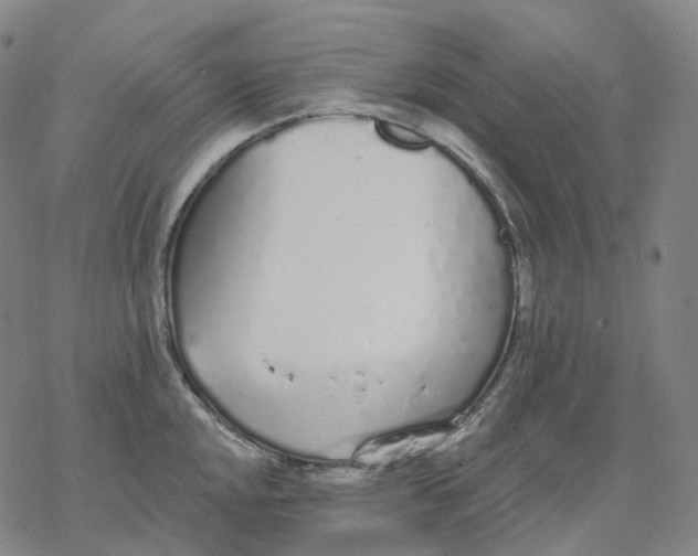 X0000076421048200610271703