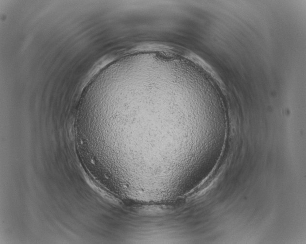 X0000076421049200610271703