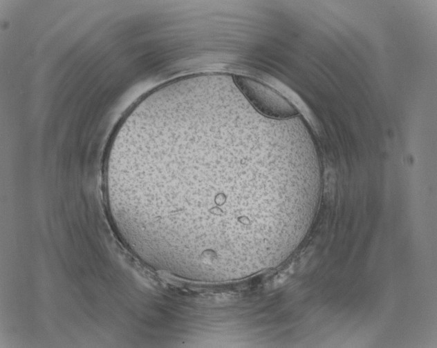 X0000076421051200610271703