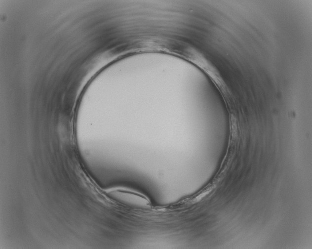 X0000076421052200610271703