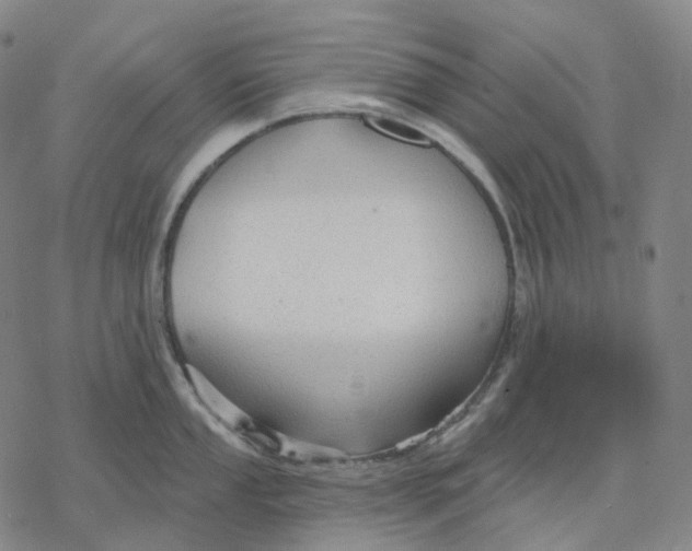 X0000076421053200610271703