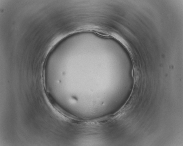 X0000076421055200610271703