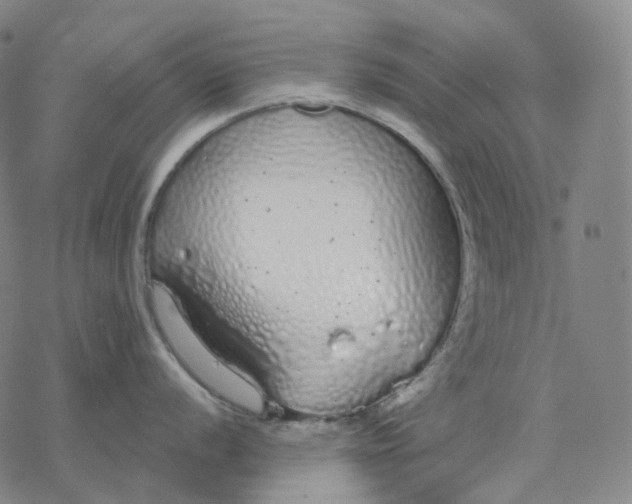 X0000076421056200610271703