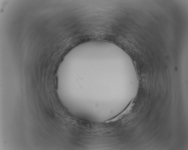 X0000076421057200610271702