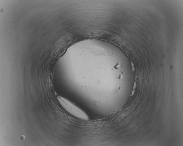 X0000076421058200610271702