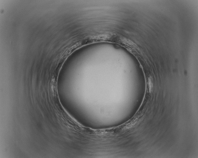 X0000076421059200610271702