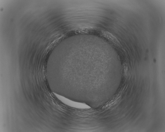 X0000076421060200610271702