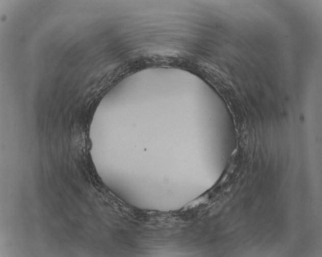 X0000076421061200610271702