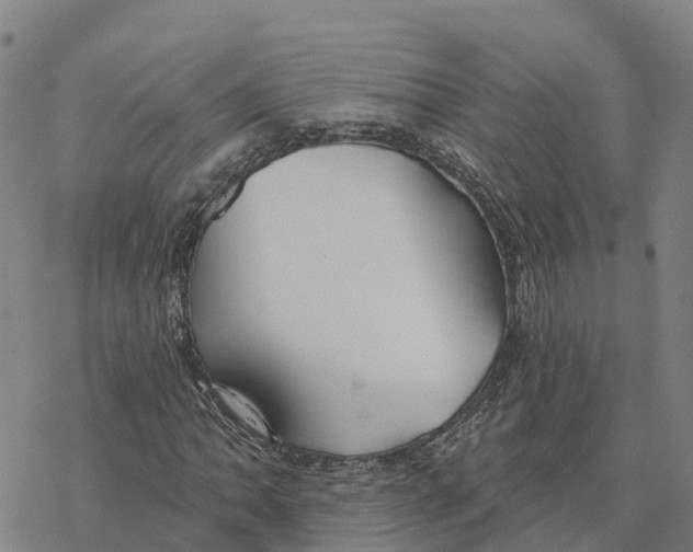 X0000076421062200610271702