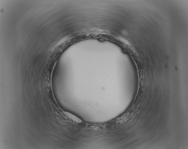 X0000076421063200610271702