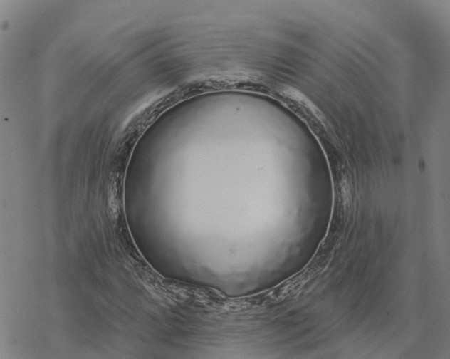 X0000076421064200610271702