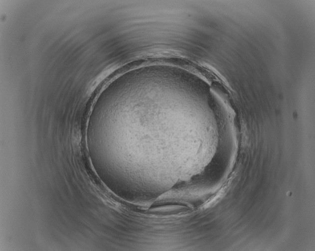 X0000076421065200610271702