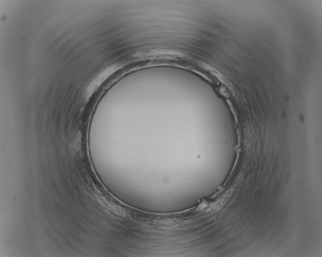 X0000076421066200610271702