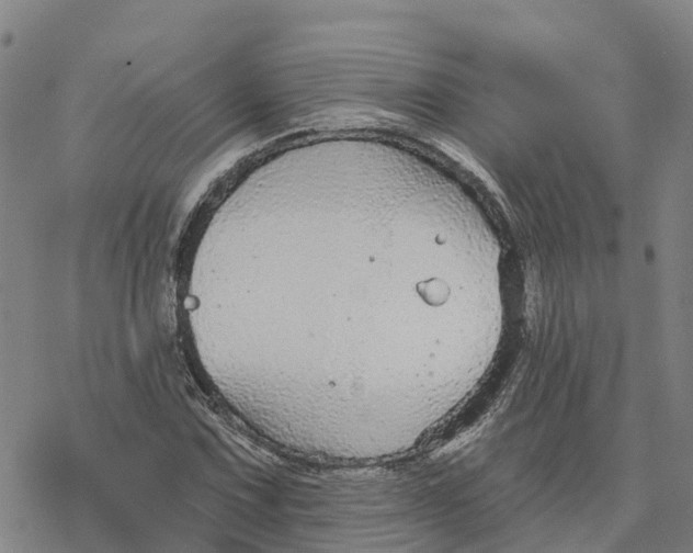 X0000076421067200610271702