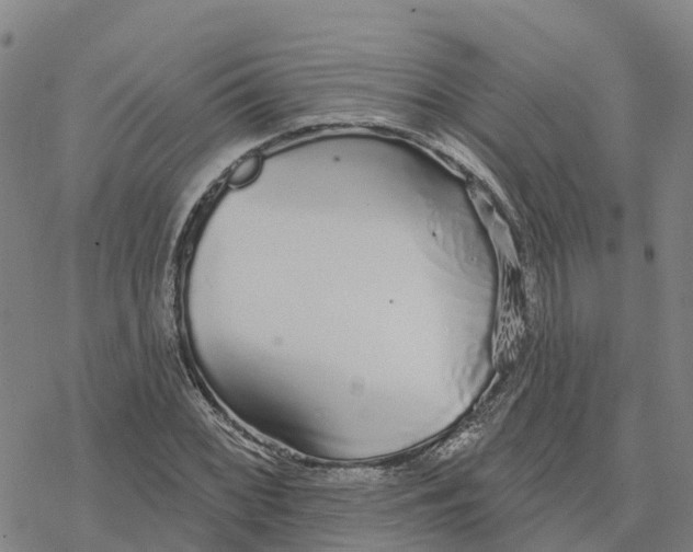 X0000076421068200610271702