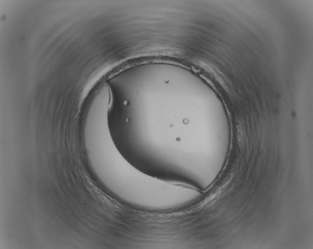 X0000076421069200610271702