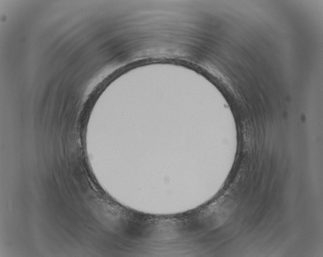 X0000076421070200610271702