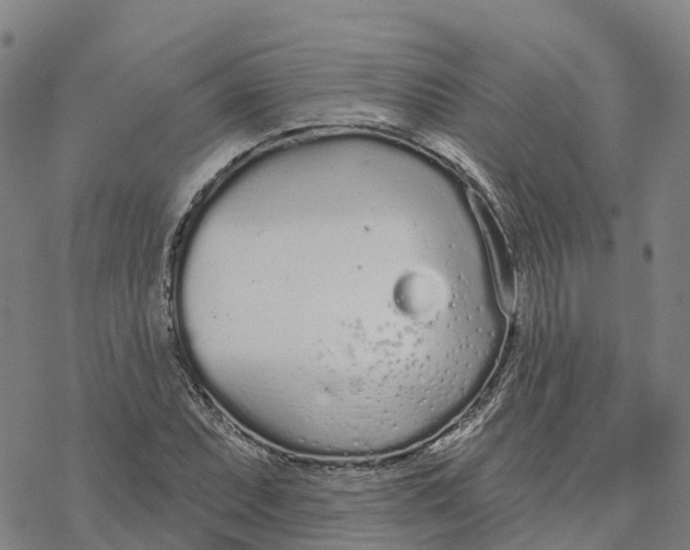 X0000076421071200610271702