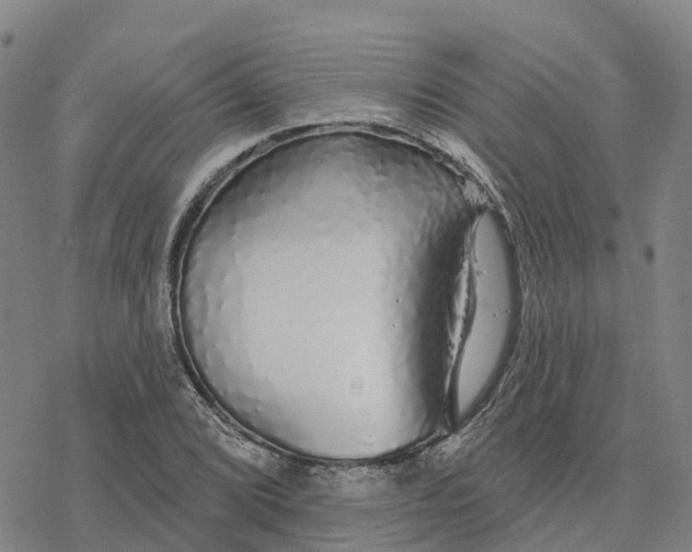 X0000076421072200610271702