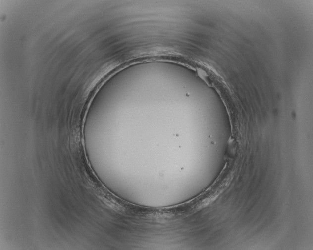 X0000076421073200610271702