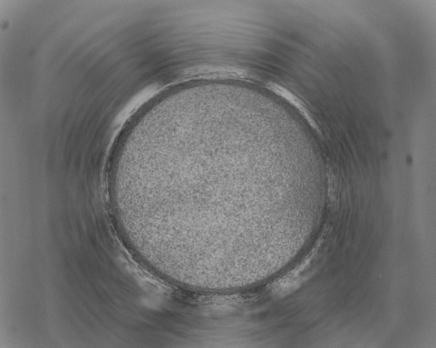 X0000076421074200610271702