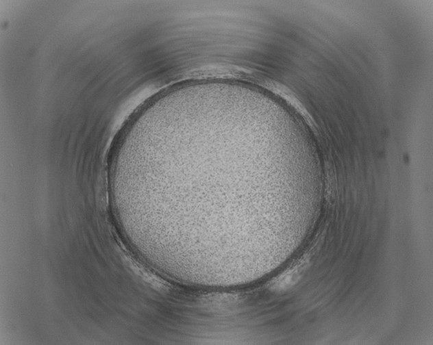 X0000076421075200610271702