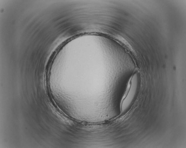 X0000076421076200610271702