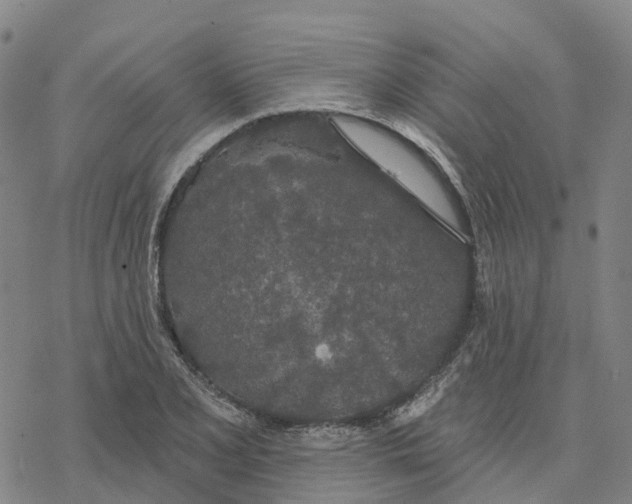 X0000076421077200610271702