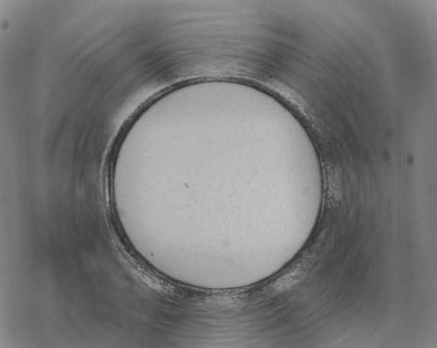 X0000076421078200610271702