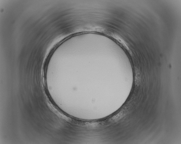 X0000076421080200610271702