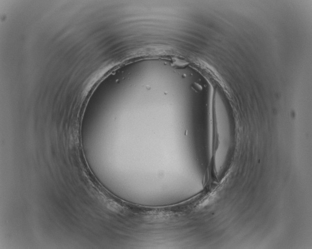 X0000076421081200610271702