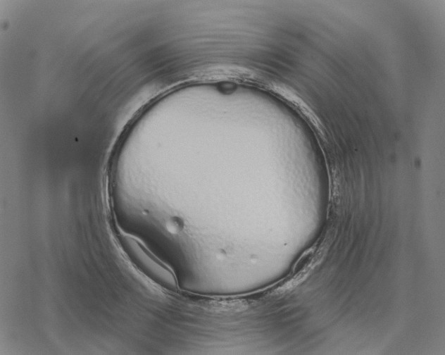 X0000076421083200610271702