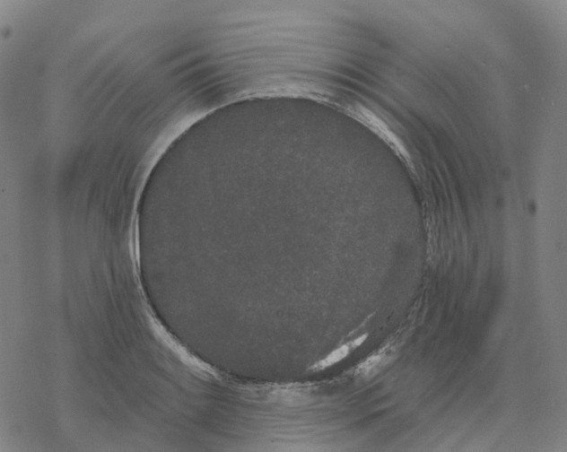 X0000076421084200610271702