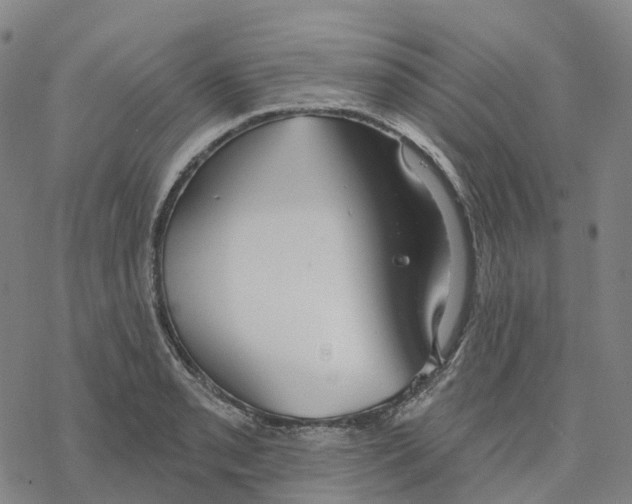 X0000076421085200610271702