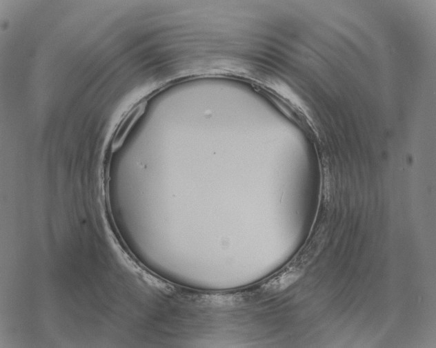 X0000076421088200610271702