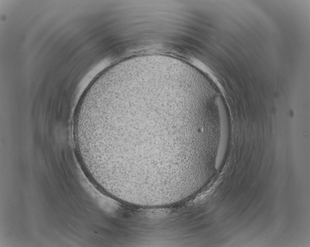 X0000076421090200610271702