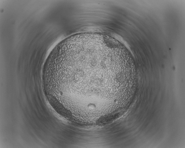 X0000076421091200610271702