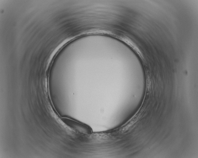 X0000076421092200610271702