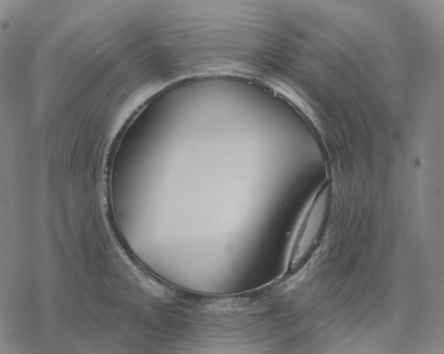 X0000076421093200610271702