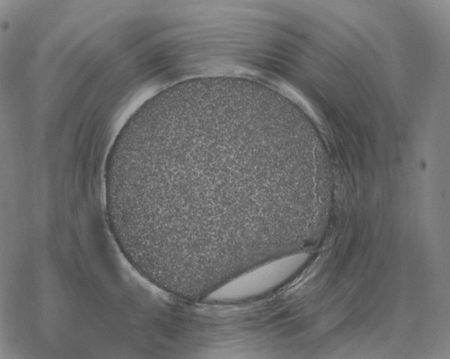 X0000076421095200610271702