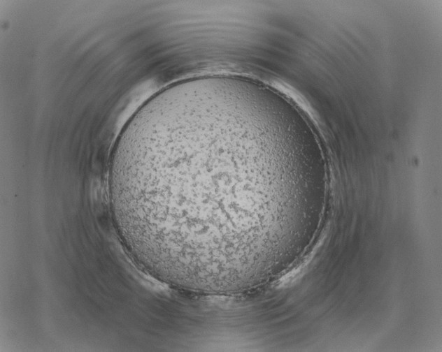 X0000076421097200610271702