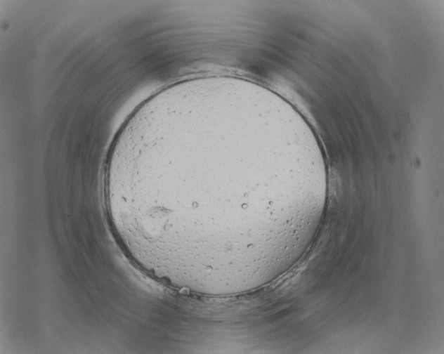 X0000076421098200610271702