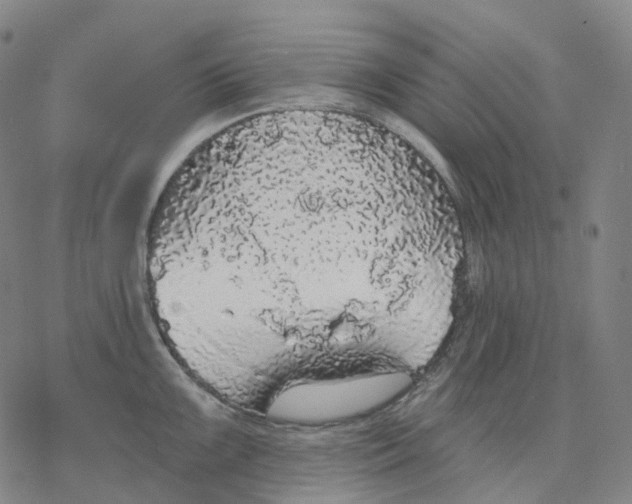 X0000076421099200610271702